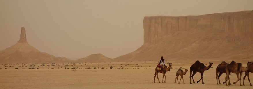 The Rise of Tourism in Saudi Arabia